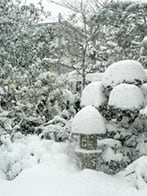 雪の鎌倉1